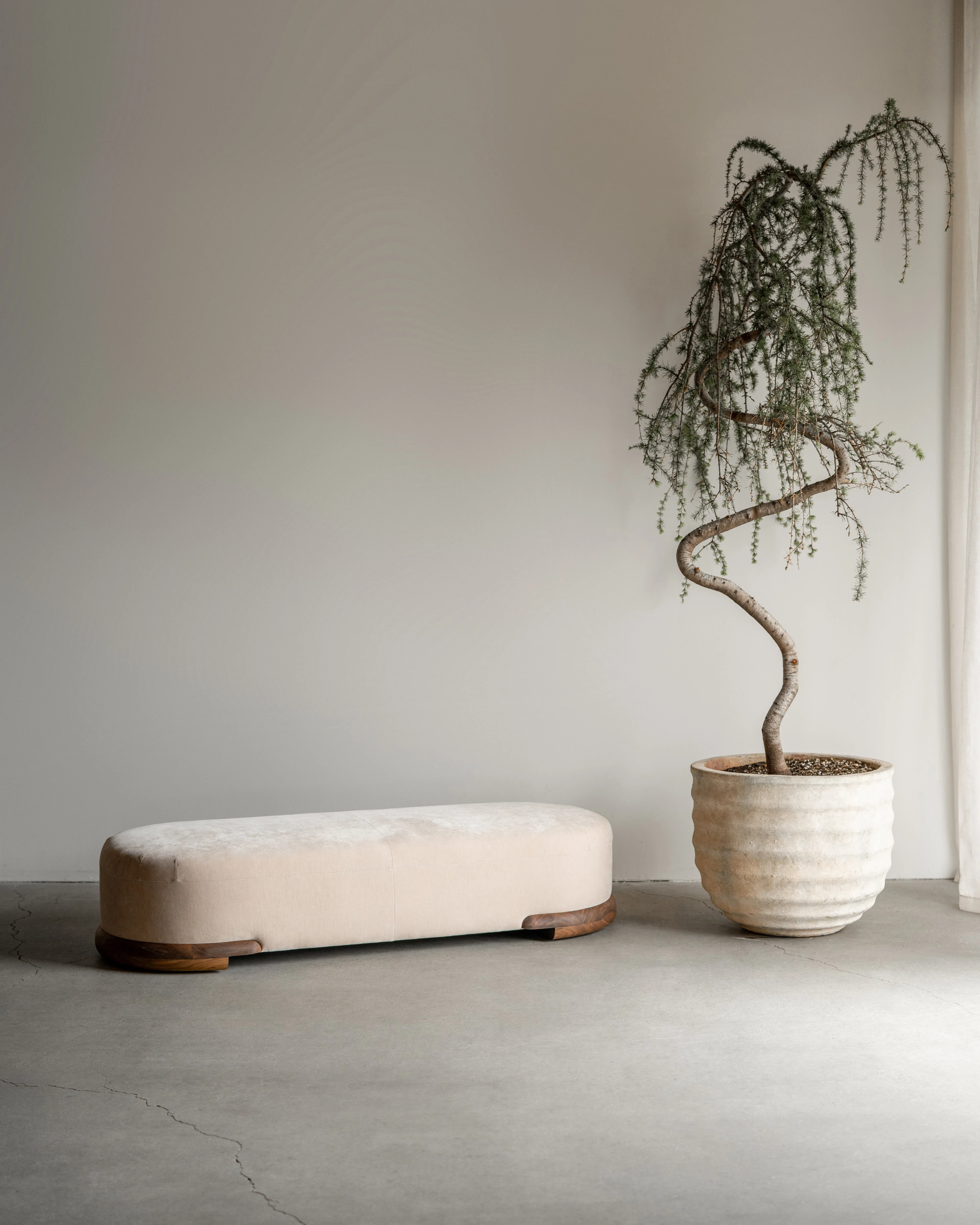 A pale upholstered bench beside a sculptural potted tree on a concrete floor