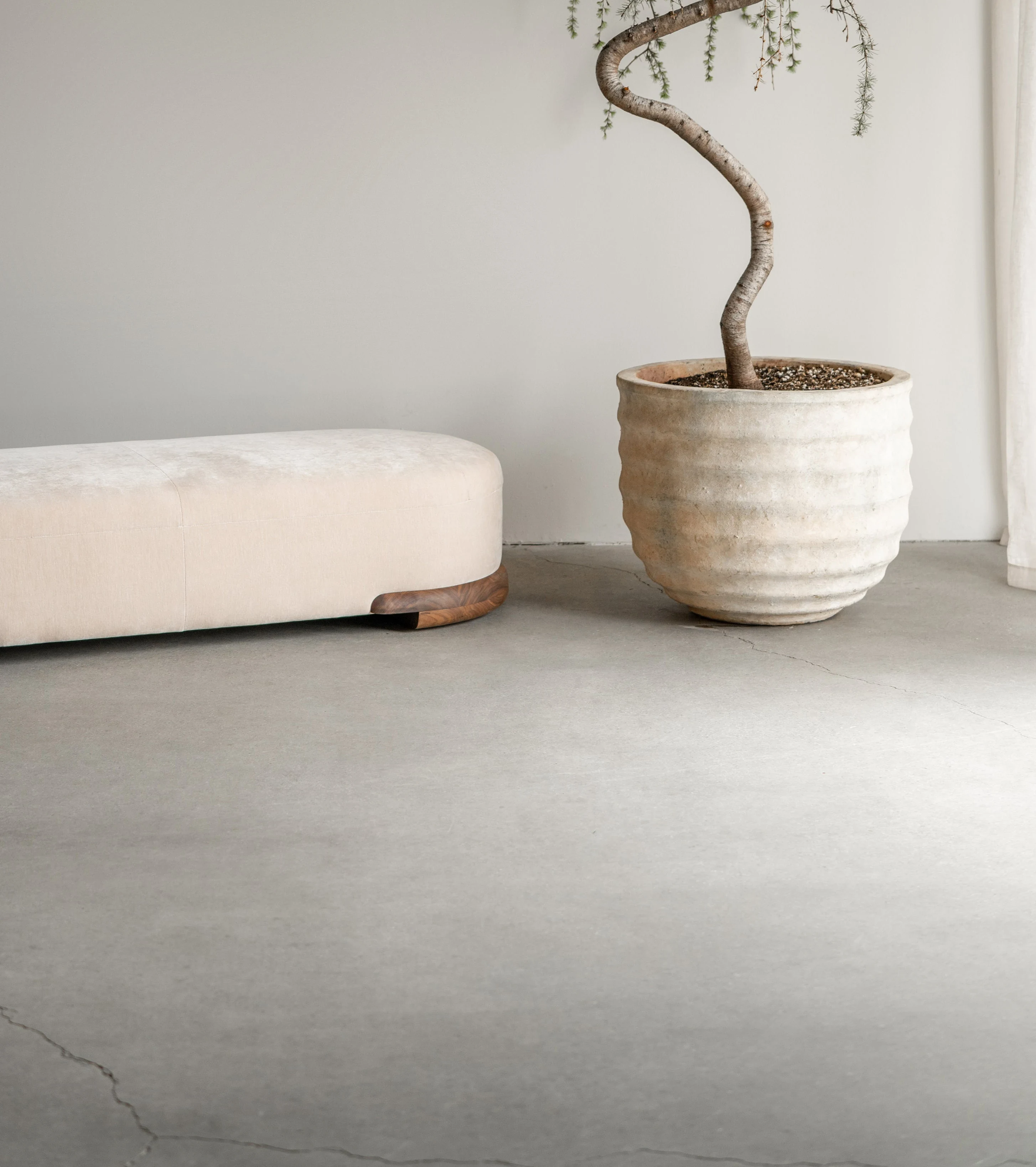 A low bench and a planted vessel photographed against a bare wall